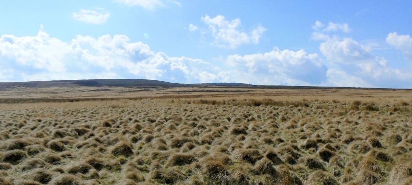 Gibbet Moor Gibbet Moor